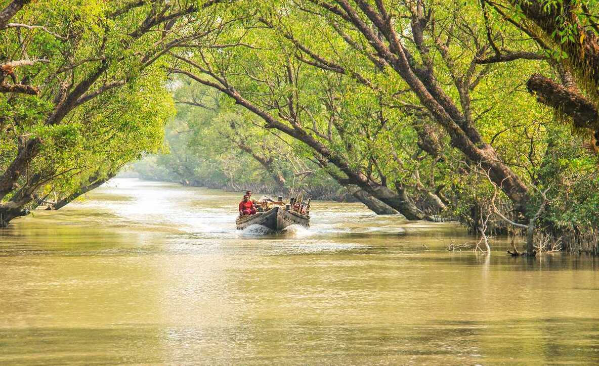 best time to visit Sundarbans, travel to sundarban, sundarban weather, 